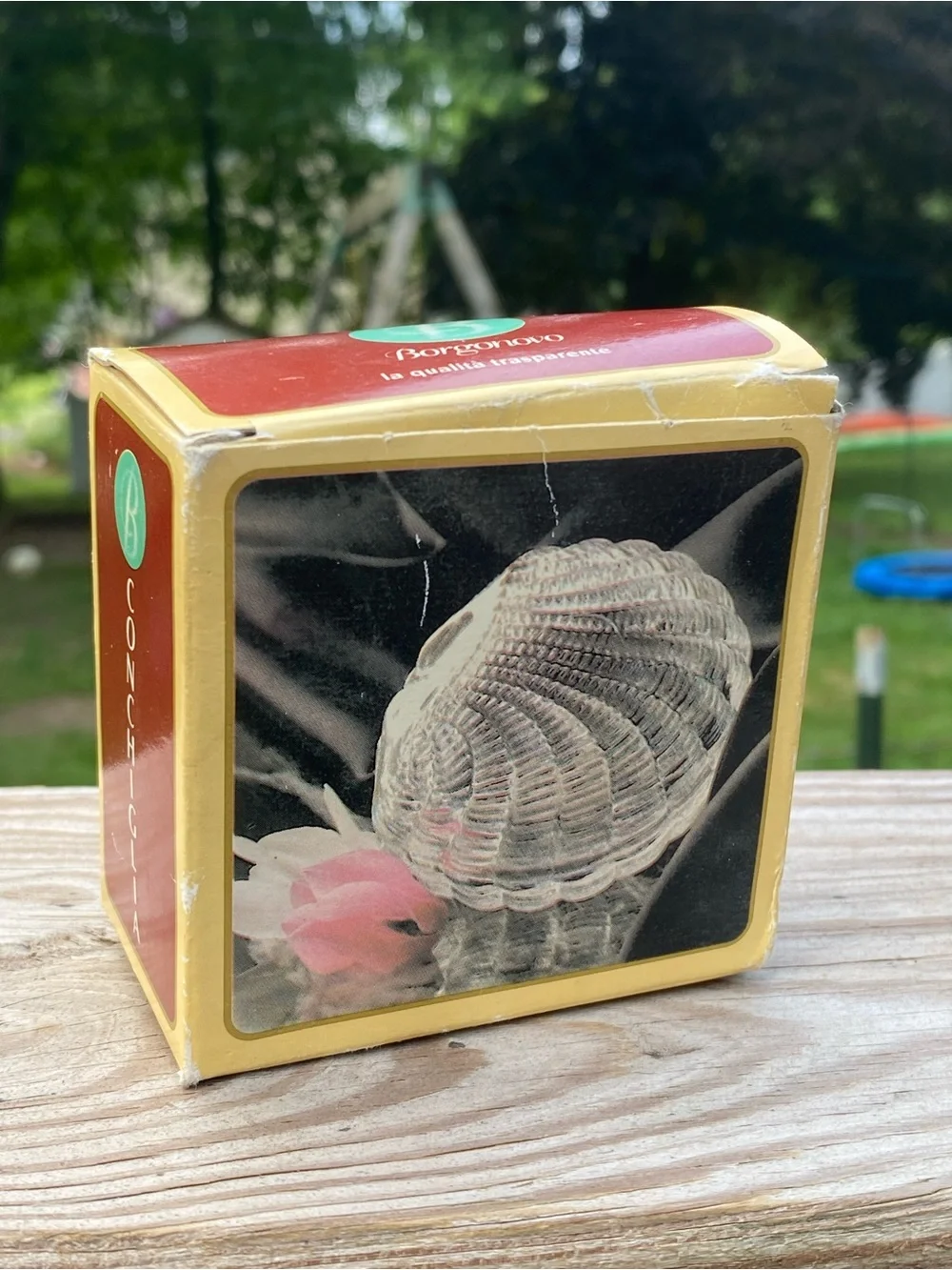 Clear Glass Shell Trinket Box - Decorative Sea Shell